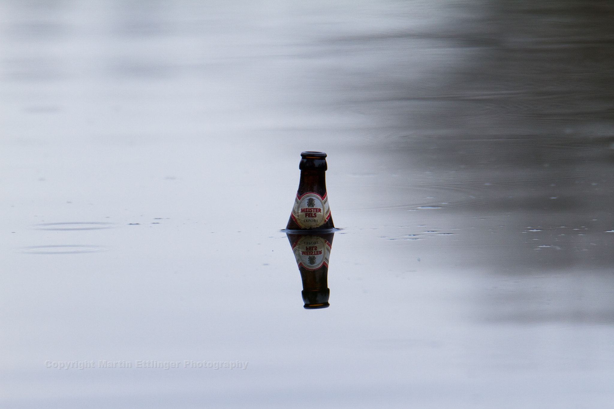 Tamron SP 150-600mm F5-6.3 Di VC USD sample photo. Beer bottle in the wuhlebecken in berlin 06032017 photography