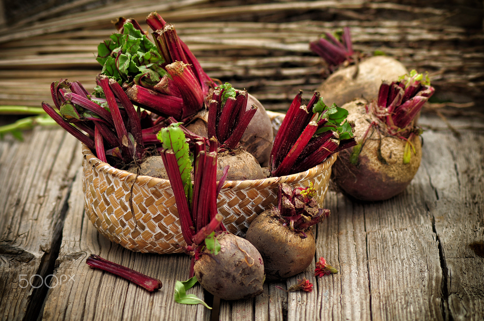Nikon D5000 sample photo. Beetroot photography