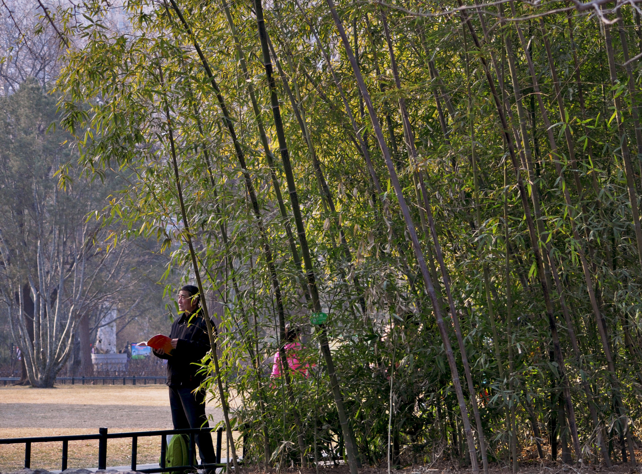 Nikon D5000 sample photo. Dsc_0080-2.jpg photography