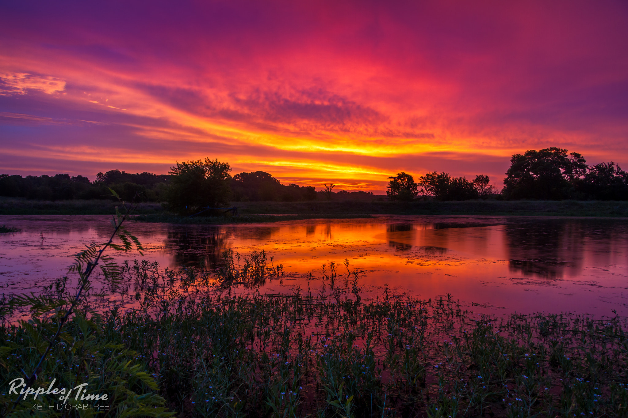 Canon EF-S 17-85mm F4-5.6 IS USM sample photo. Old bison sunrise photography