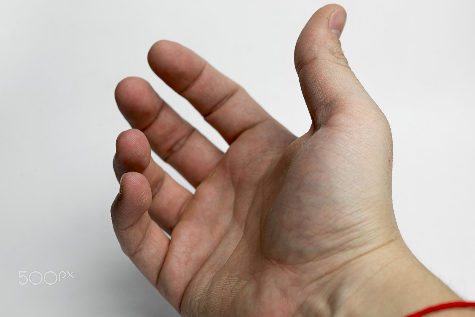 Nikon AF Micro-Nikkor 60mm F2.8D sample photo. The hand on a white background. photography