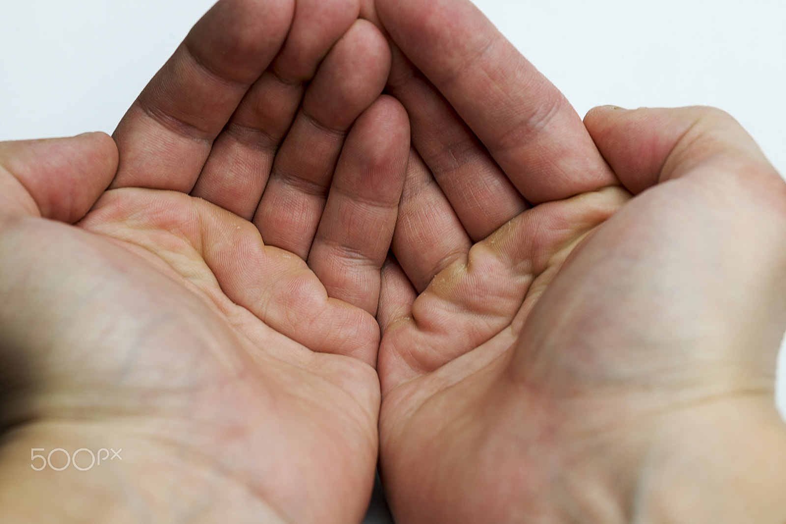 Nikon AF Micro-Nikkor 60mm F2.8D sample photo. Hands on a white background. photography