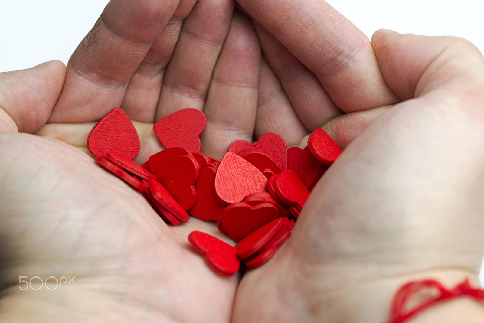 Nikon D600 + Nikon AF Micro-Nikkor 60mm F2.8D sample photo. Hands holding a lot of hearts. photography
