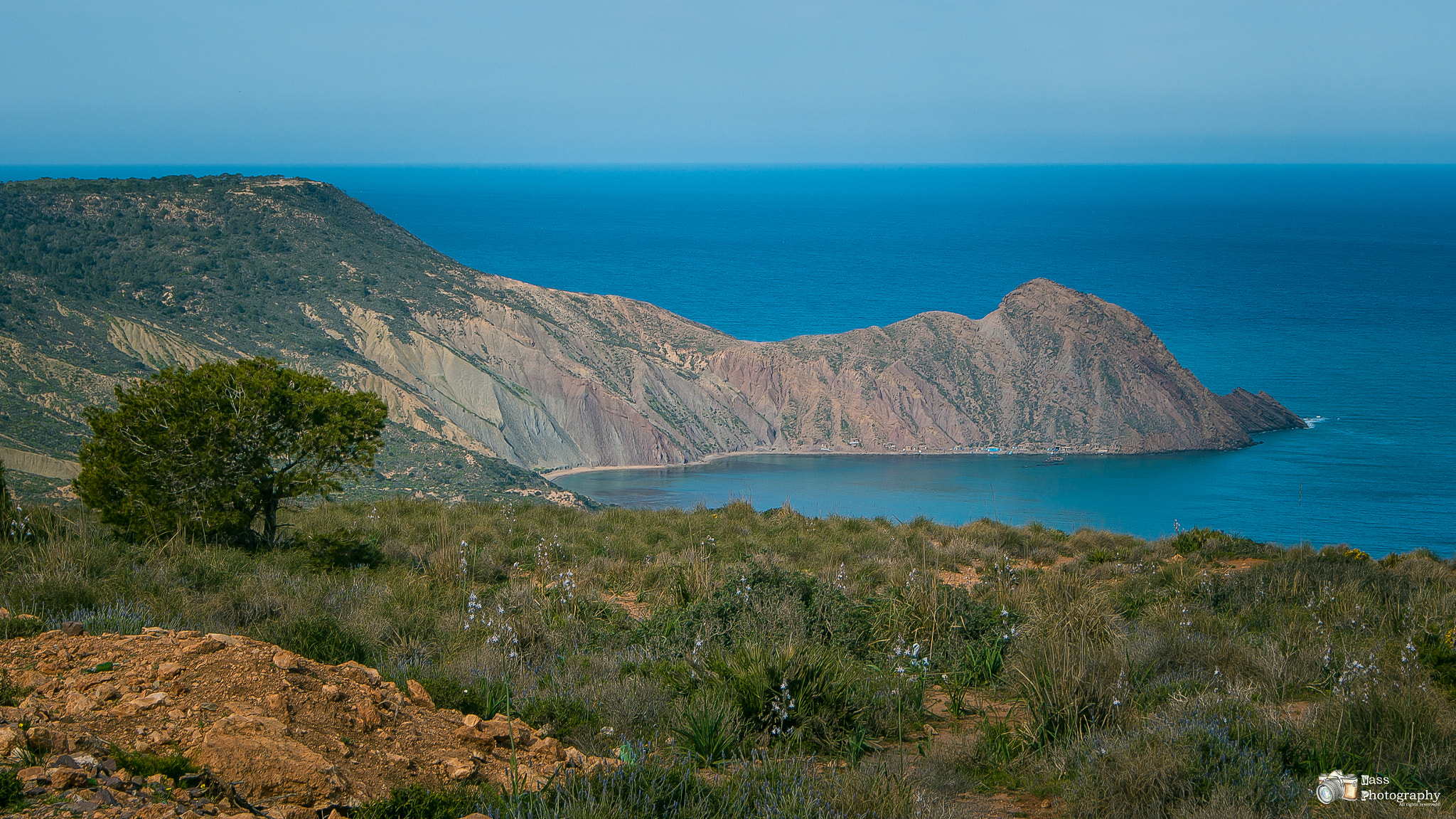 Sony SLT-A55 (SLT-A55V) sample photo. Beauty of oran photography