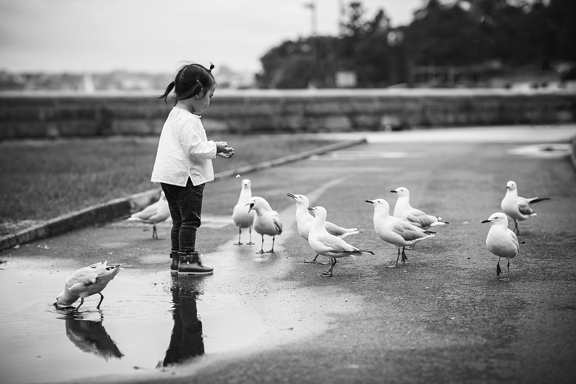 Nikon D800E + Nikon AF-S Nikkor 85mm F1.4G sample photo. It's a rainy day again 2 photography