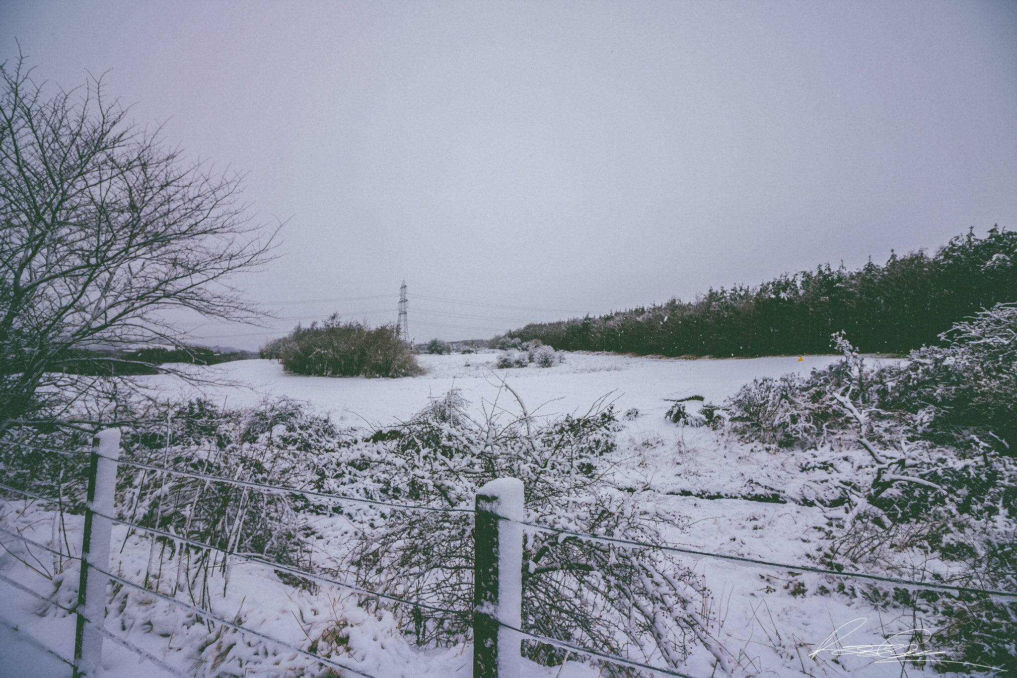 Canon EOS 750D (EOS Rebel T6i / EOS Kiss X8i) sample photo. Img photography