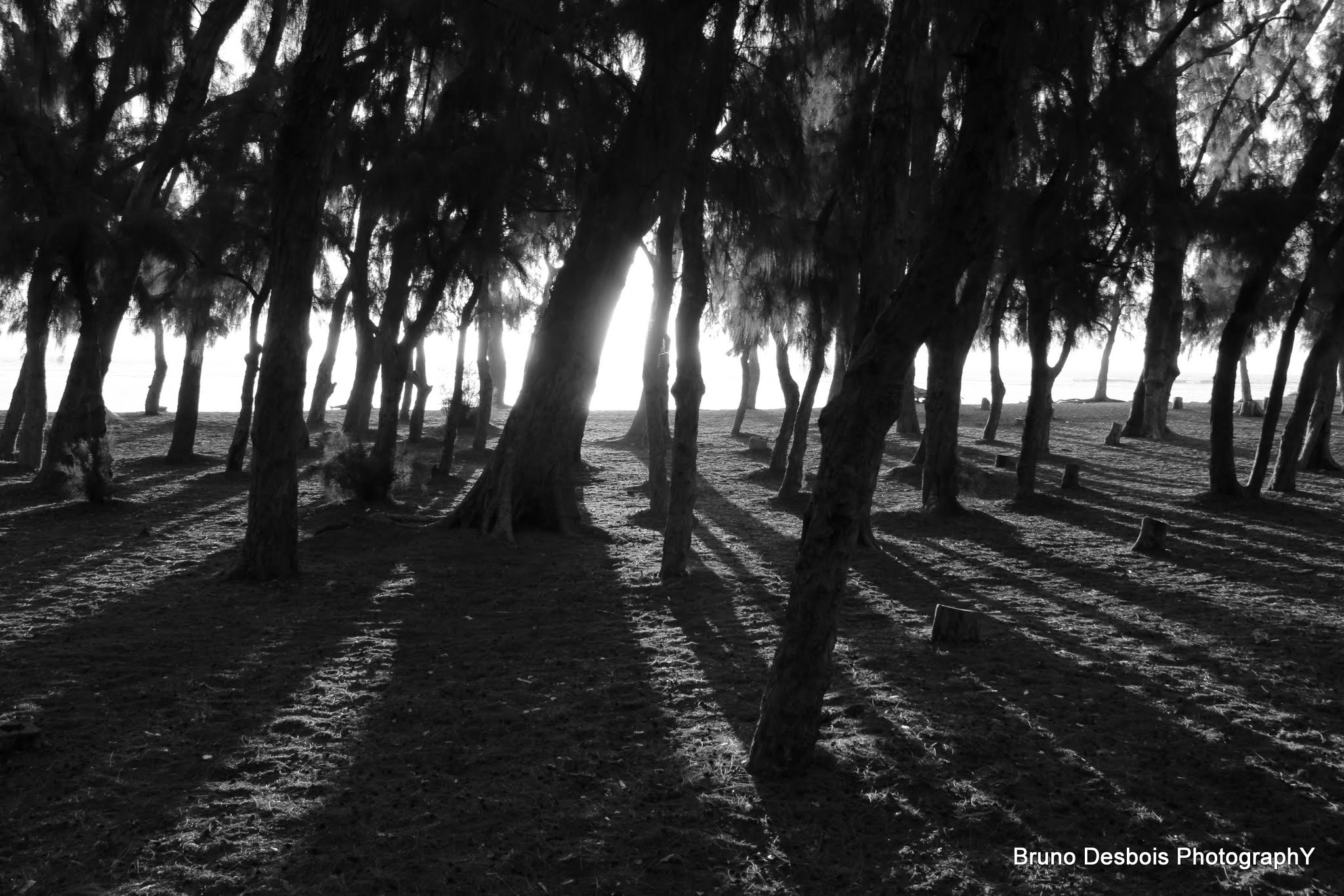 Sigma 18-200mm f/3.5-6.3 DC OS sample photo. Shadow-reunion island-indian ocean photography