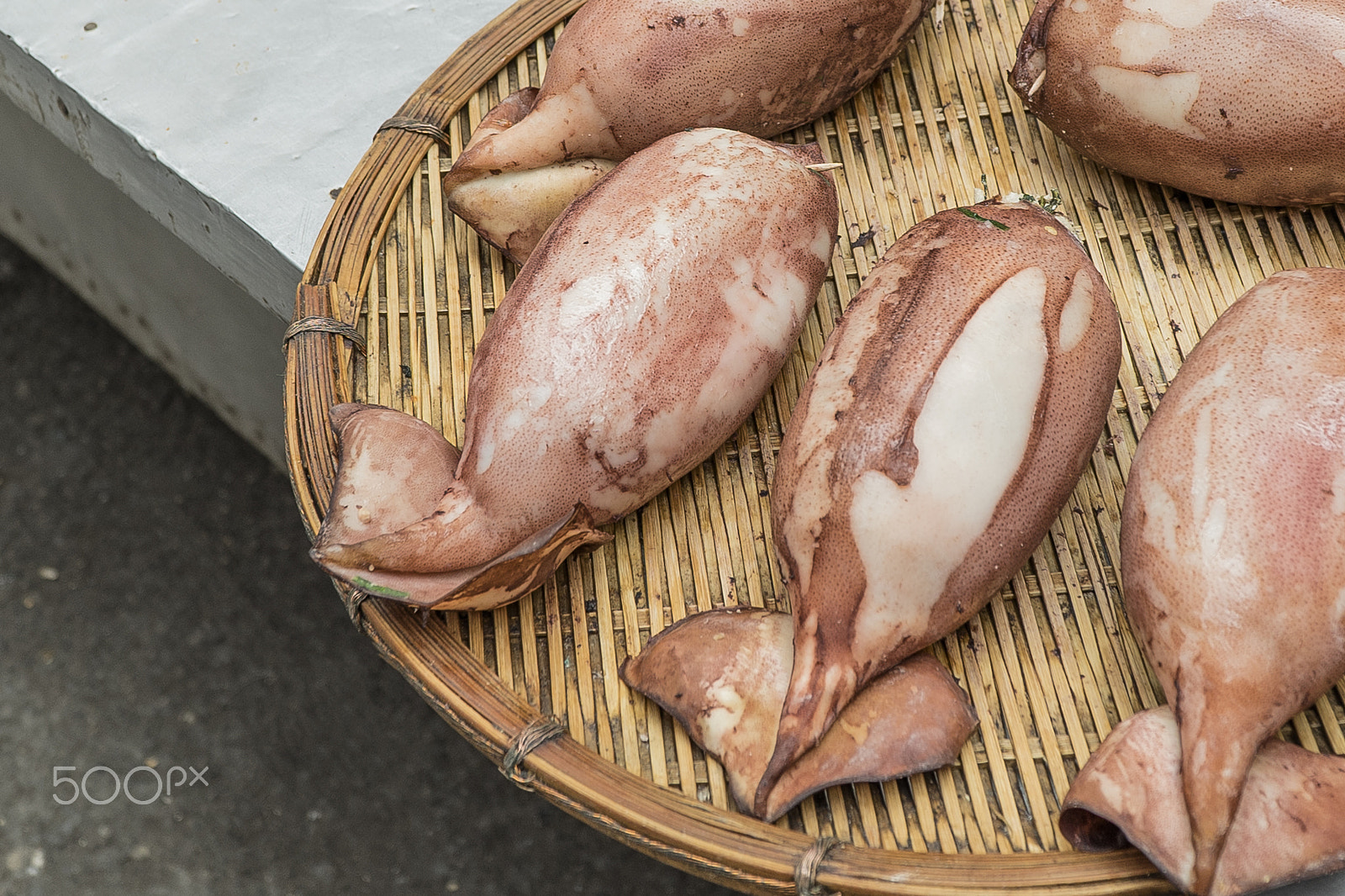 Sony a7 II + Sony E PZ 18-105mm F4 G OSS sample photo. Squid photography