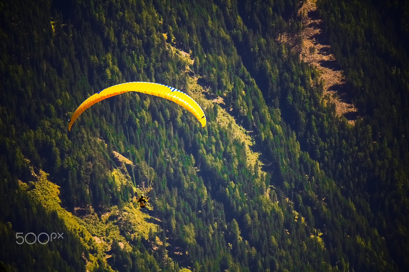 Canon EF-S 55-250mm F4-5.6 IS STM sample photo. A touch of yellow photography