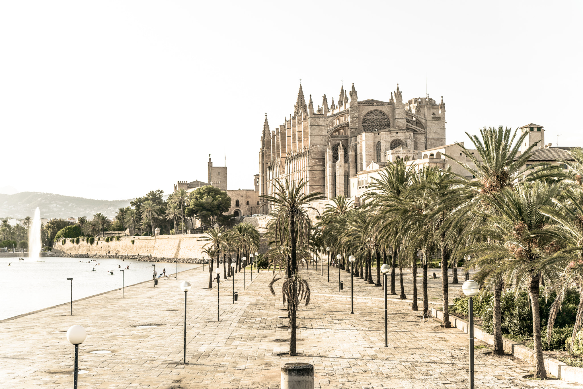Nikon D800 sample photo. Palma's cathedral photography