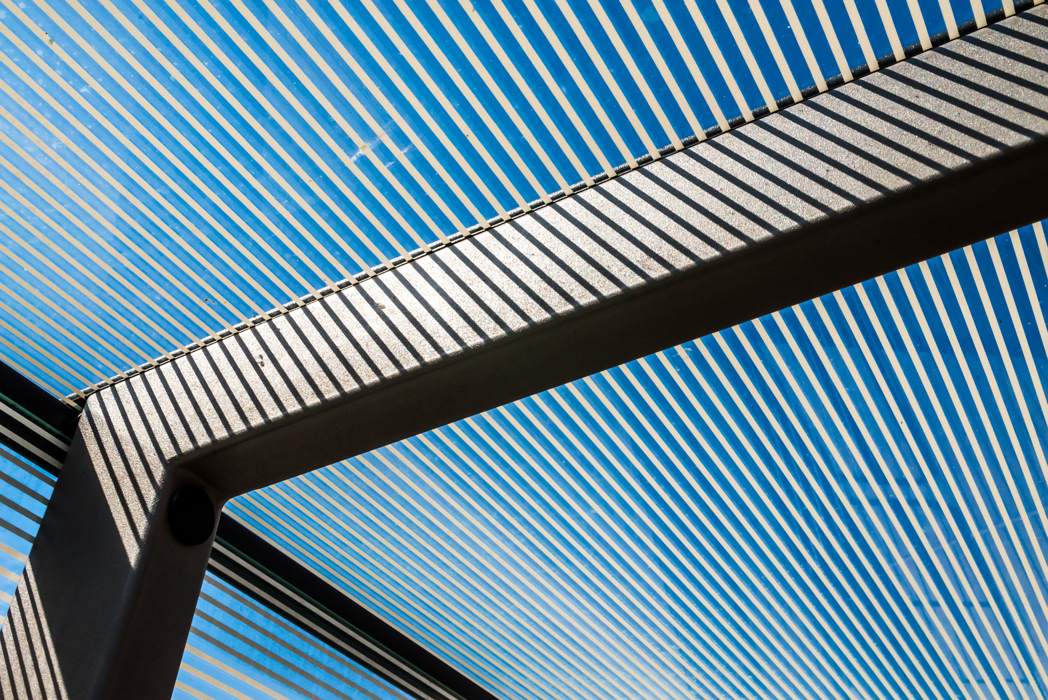 Nikon D610 + Nikon AF-S Nikkor 28-70mm F2.8 ED-IF sample photo. Polycarbonate bus stop contruction roof photography