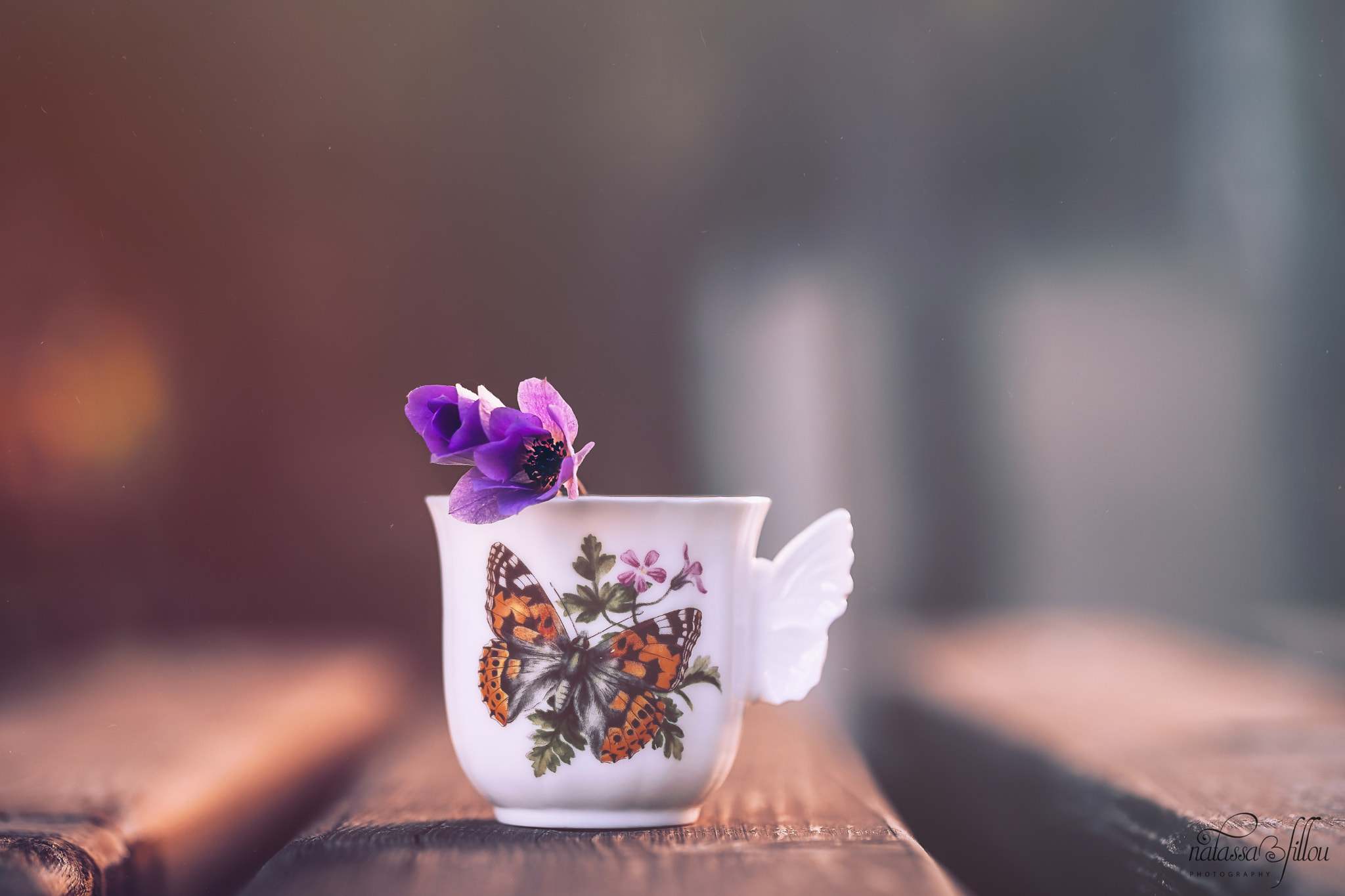 Nikon D750 sample photo. ~ a cup of march ~ photography