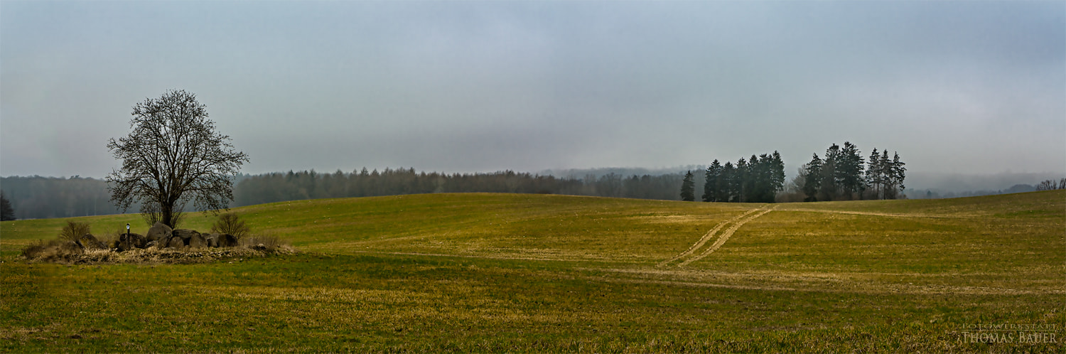 Canon EOS 450D (EOS Rebel XSi / EOS Kiss X2) sample photo. Mecklenburger landschaft  -  a landscape in mecklenburg / germany. photography