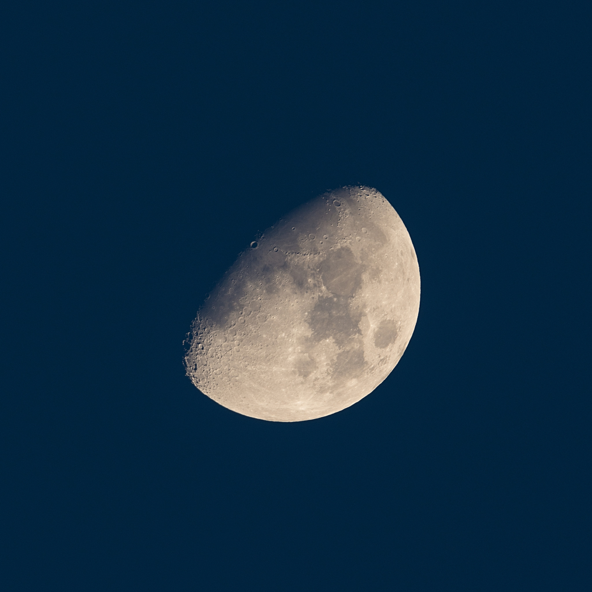 Sigma 150-600mm F5-6.3 DG OS HSM | S sample photo