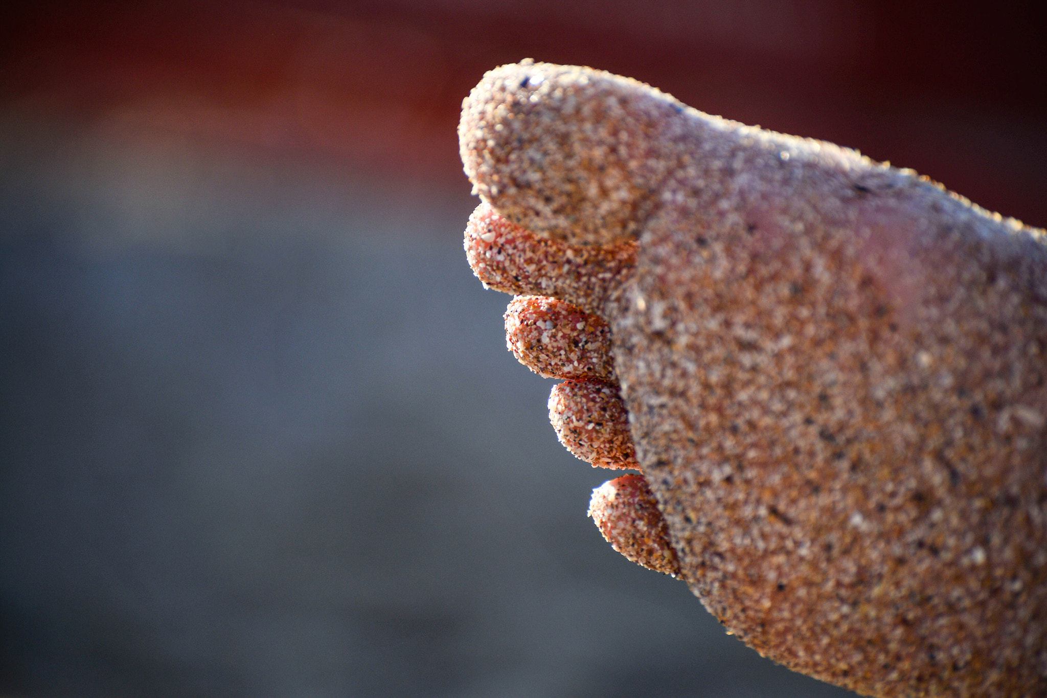 Nikon D600 sample photo. Dreams covered in sand photography