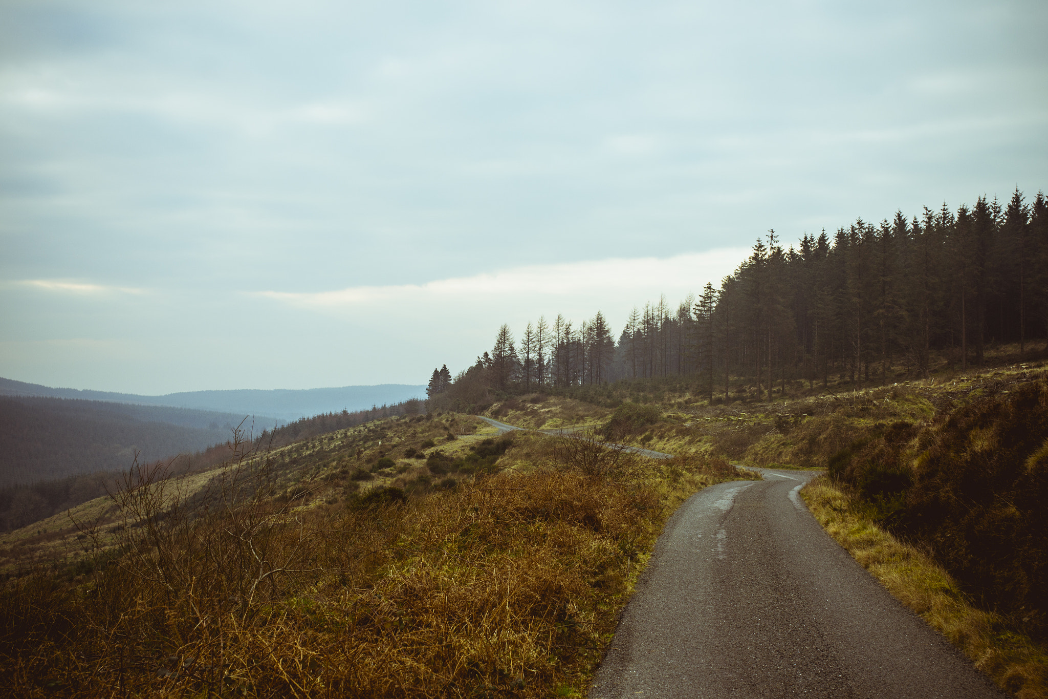 Nikon D3100 + Sigma 35mm F1.4 DG HSM Art sample photo. Slieve bloom mountains photography