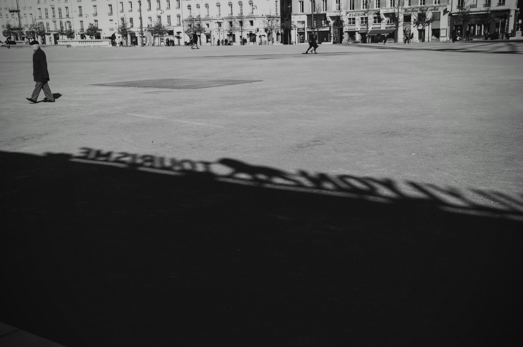Pentax K10D sample photo. Shadow of lyon photography