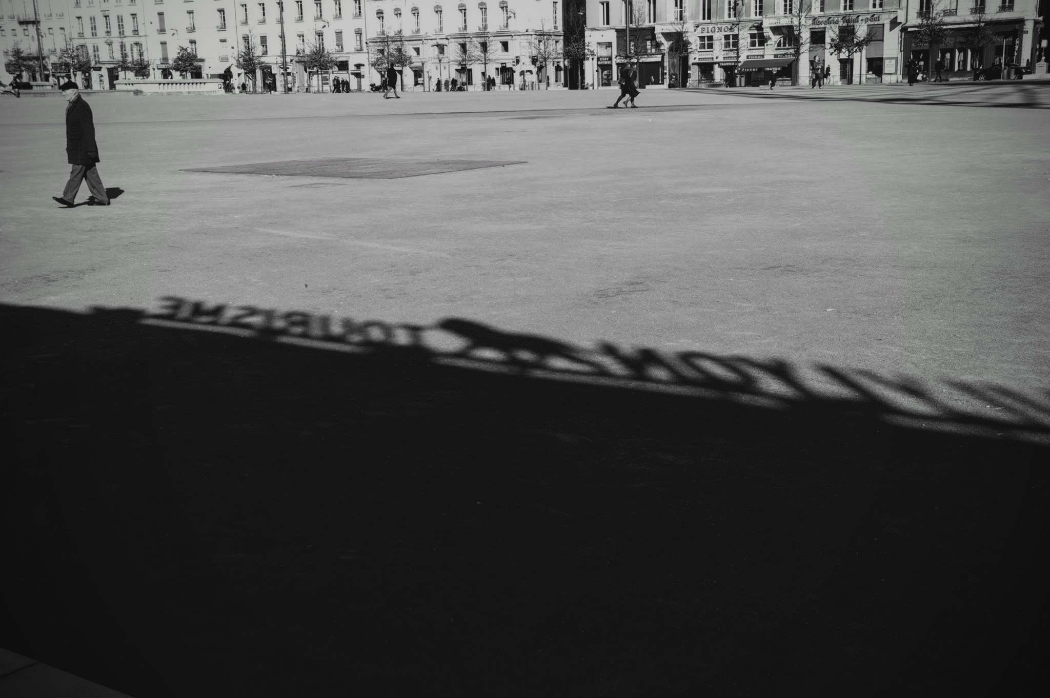 Pentax K10D + Tamron AF 18-200mm F3.5-6.3 XR Di II LD Aspherical (IF) Macro sample photo. Shadow of lyon photography