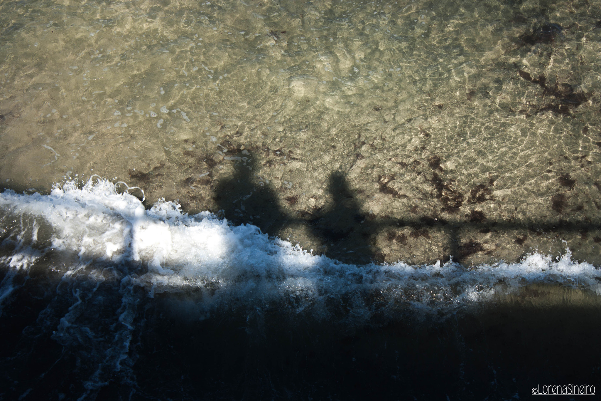 Canon EOS 1000D (EOS Digital Rebel XS / EOS Kiss F) sample photo. Shadows in the water photography