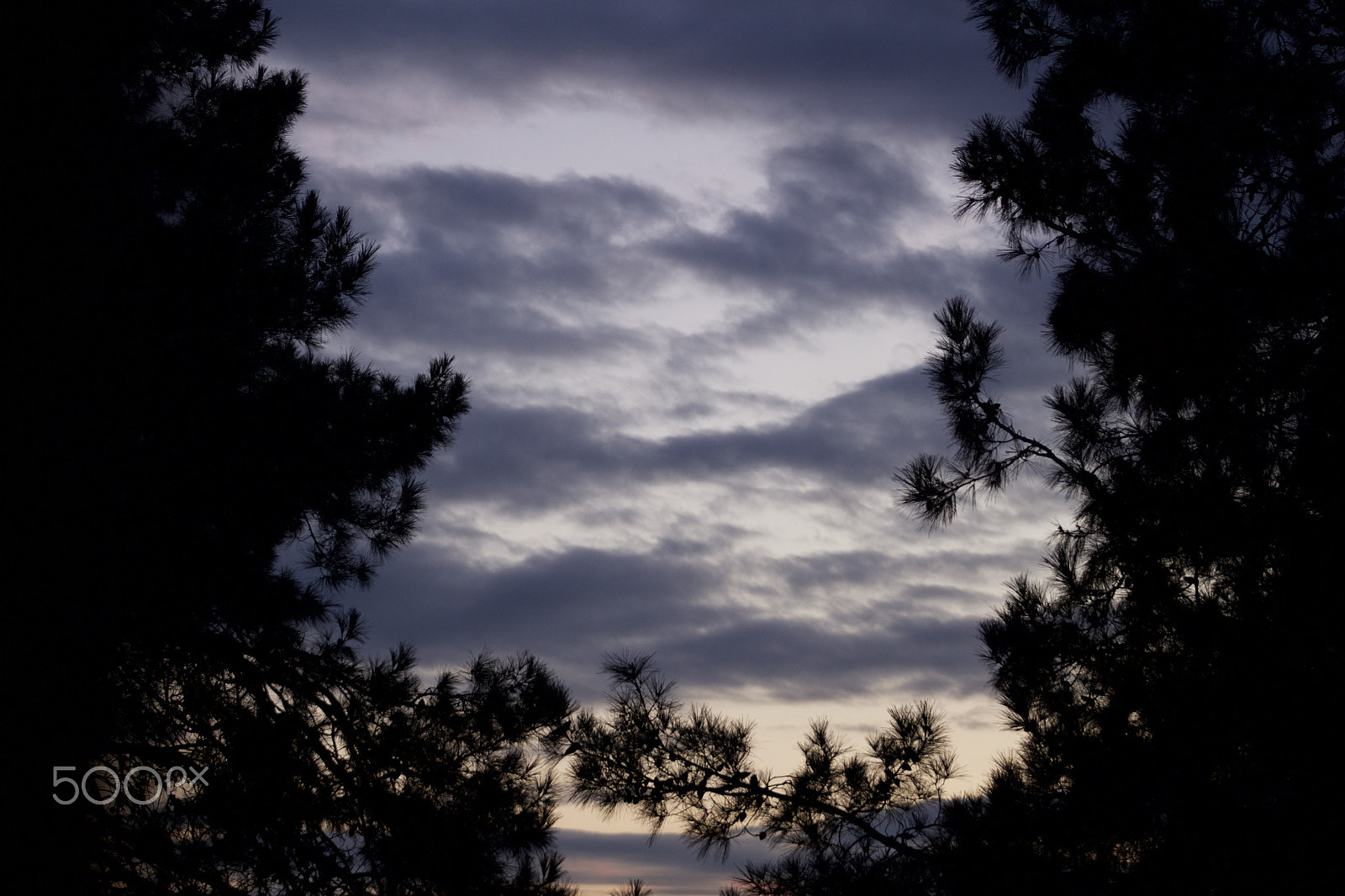 Canon EOS 100D (EOS Rebel SL1 / EOS Kiss X7) + EF75-300mm f/4-5.6 sample photo. Cloudy skies photography