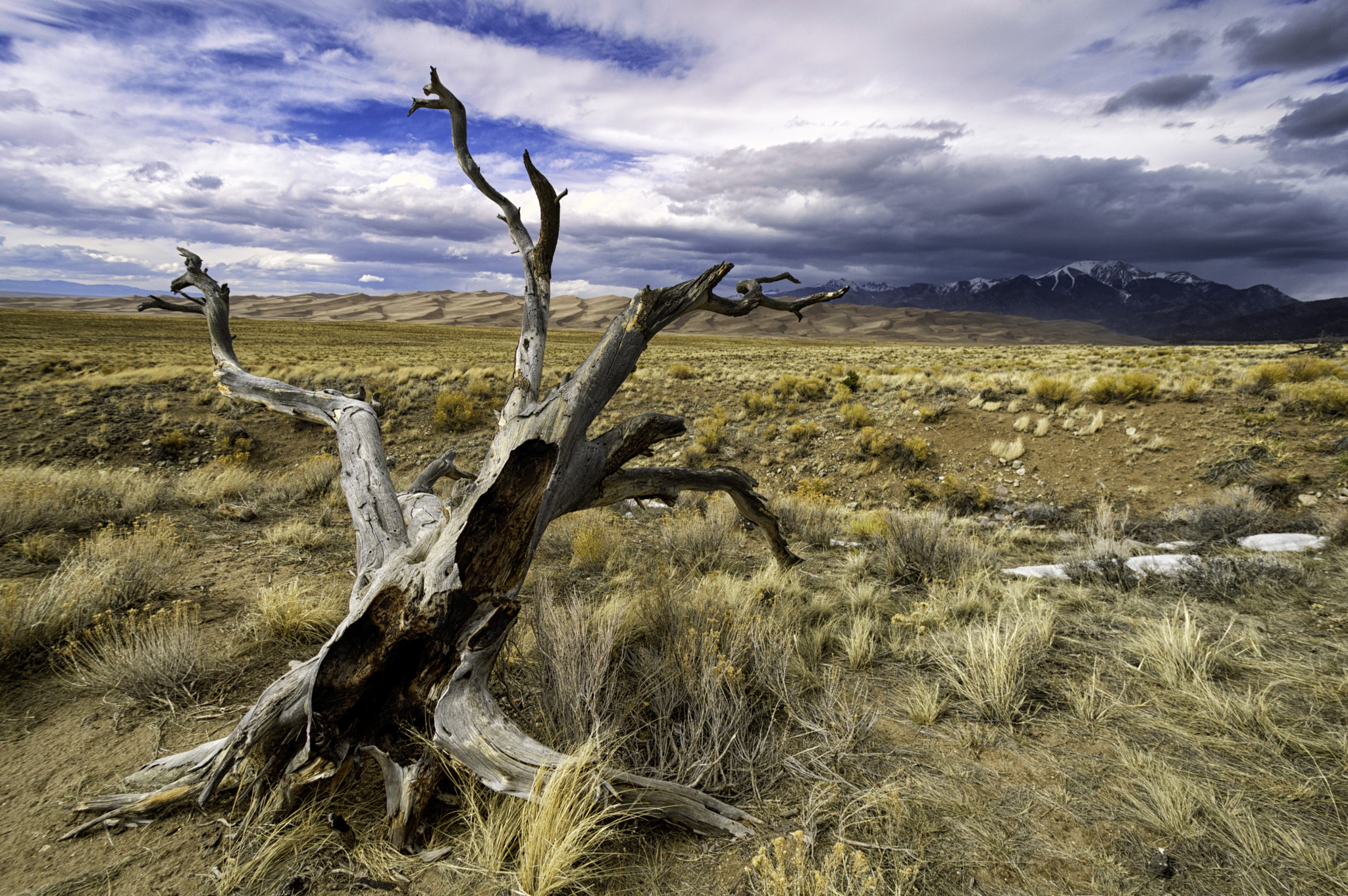 Nikon D3200 sample photo. Go that way photography