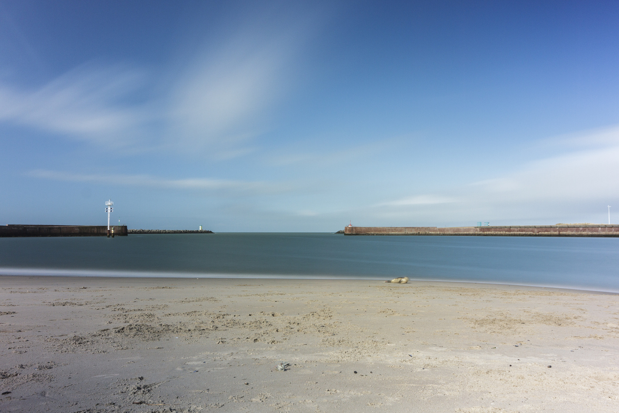 Canon EOS 7D + Sigma 10-20mm F4-5.6 EX DC HSM sample photo. Resting seal photography