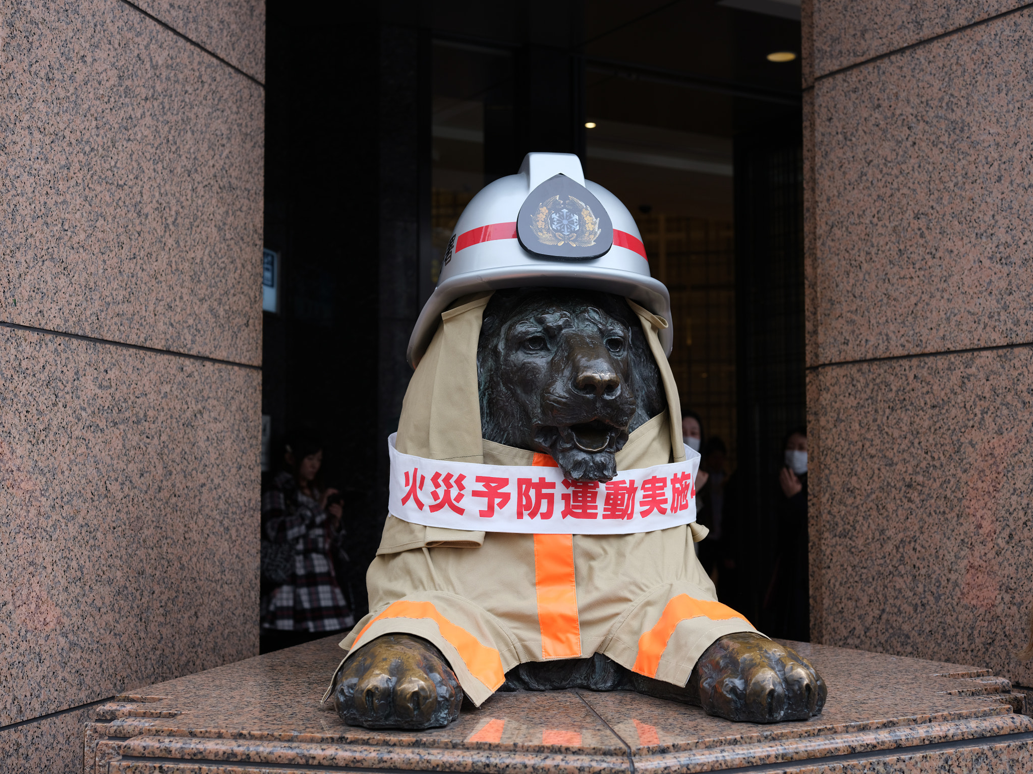 Fujifilm GFX 50S + Fujifilm GF 63mm F2.8 R WR sample photo. Lion firefighter photography