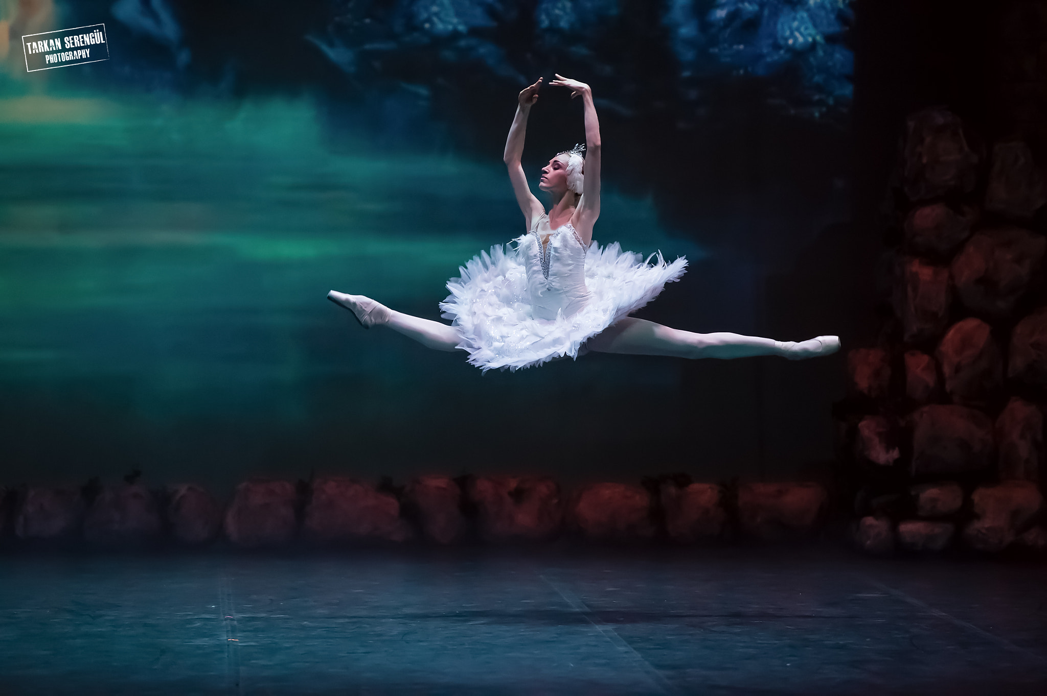 Nikon AF-S Nikkor 70-200mm F2.8G ED VR II sample photo. Swan lake photography