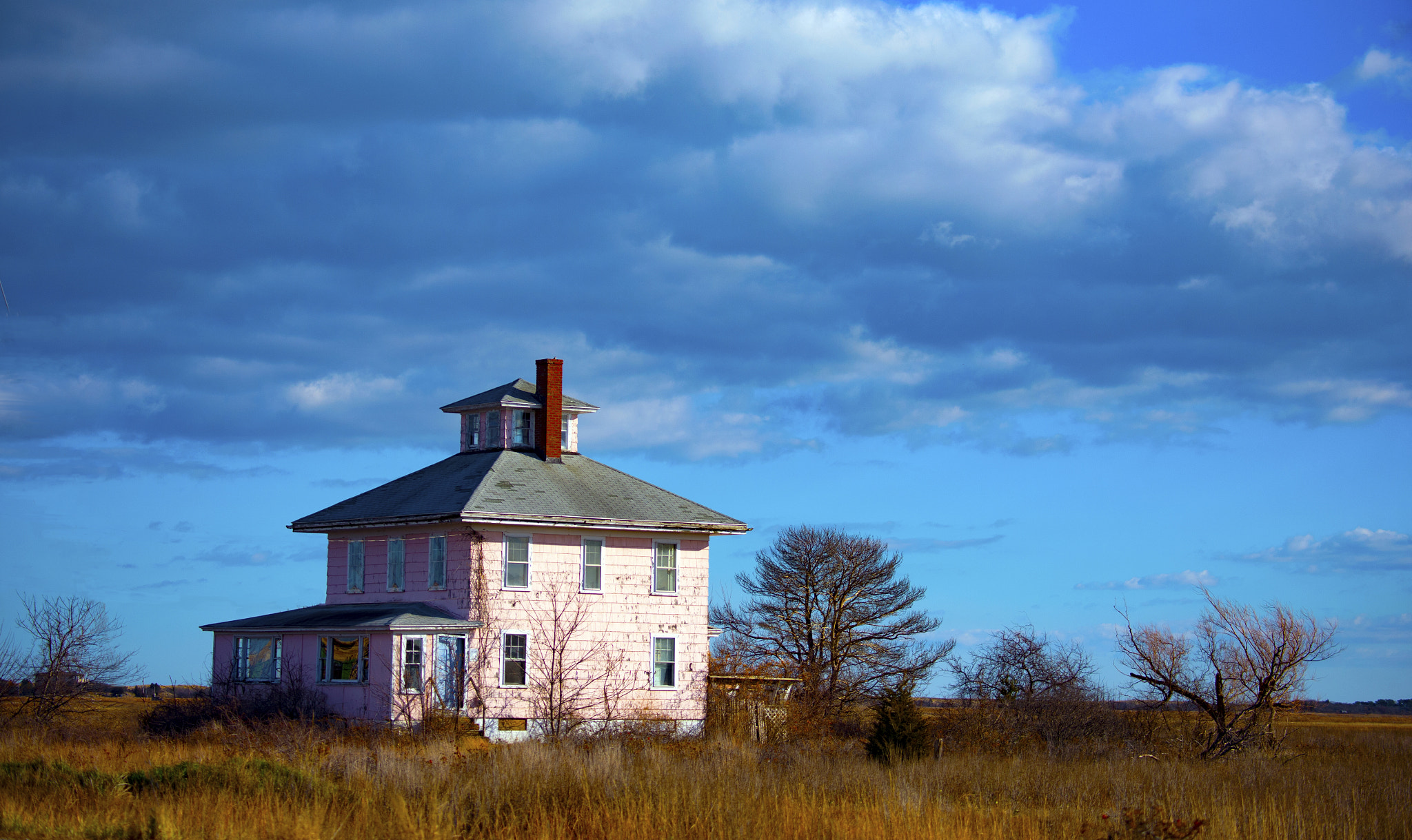 Nikon D4 sample photo. Pink house photography