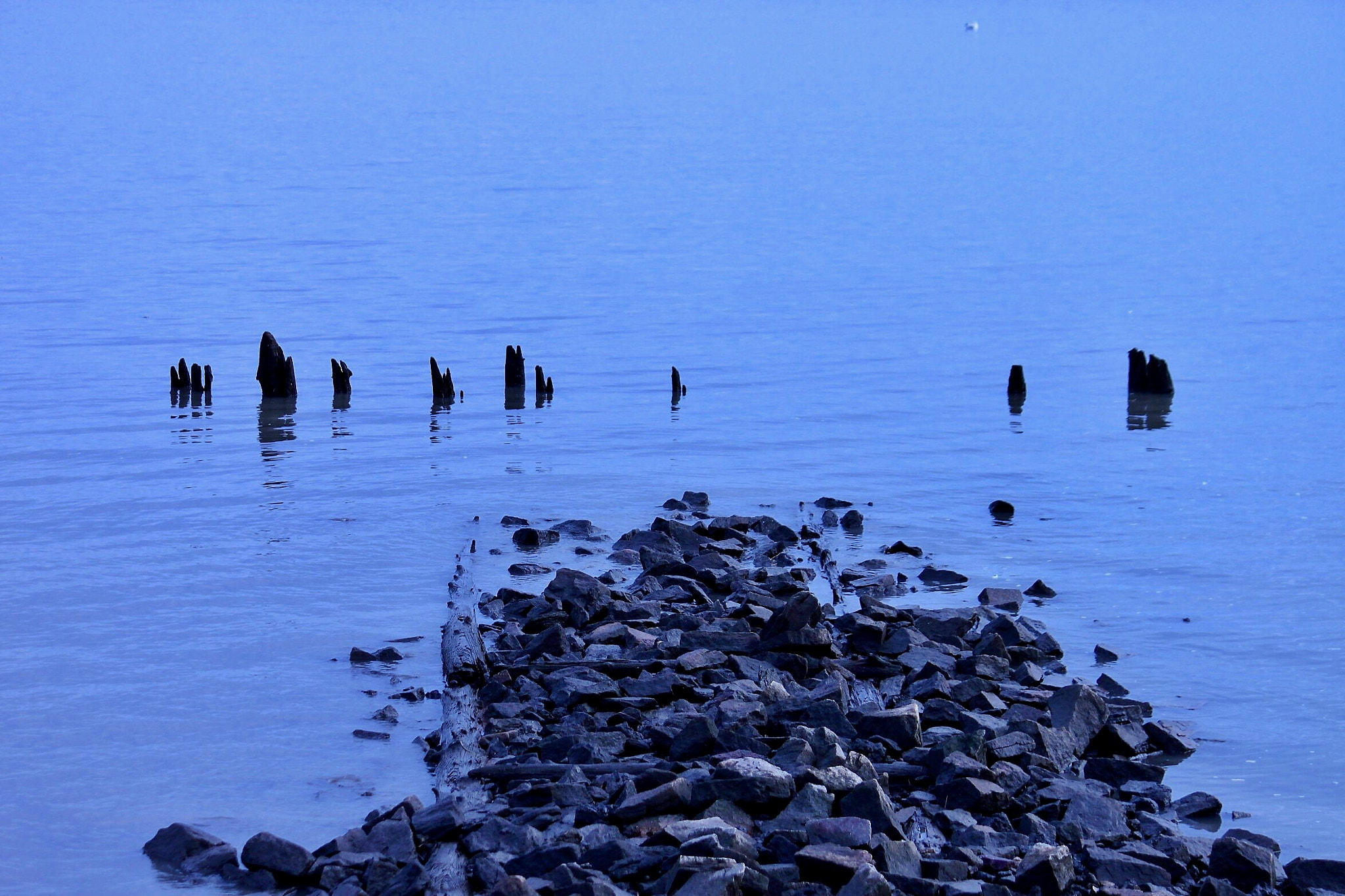 Canon EF-S 55-250mm F4-5.6 IS sample photo