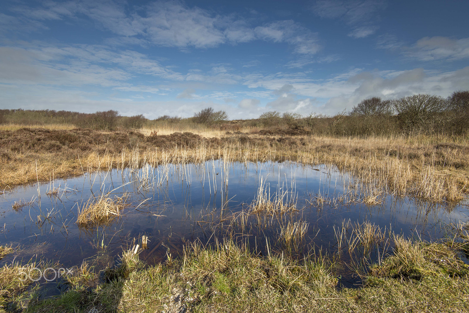 Nikon AF-S Nikkor 16-35mm F4G ED VR sample photo. Het zwanenwater. photography