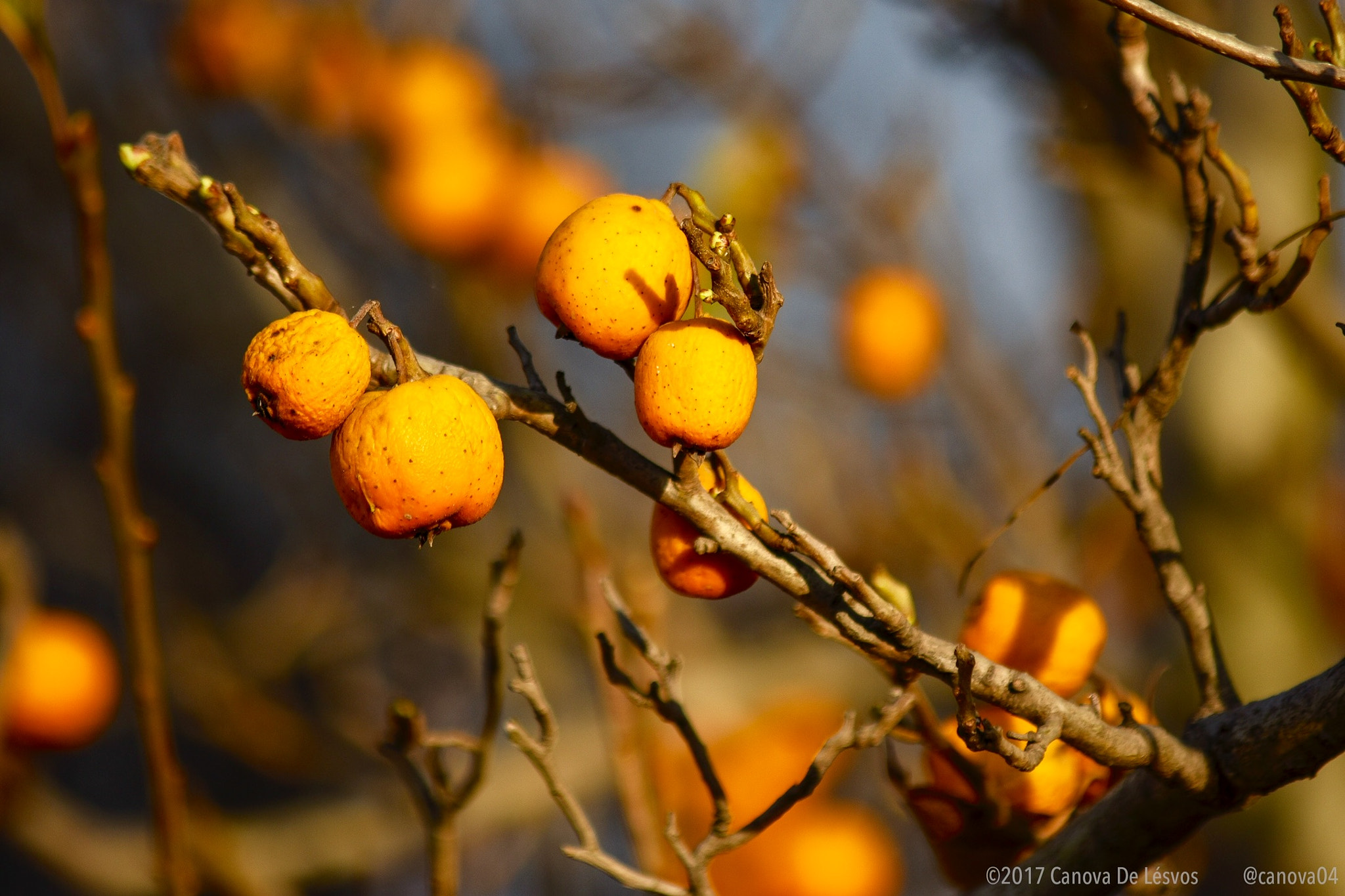 Nikon D3400 sample photo. Texocotl photography