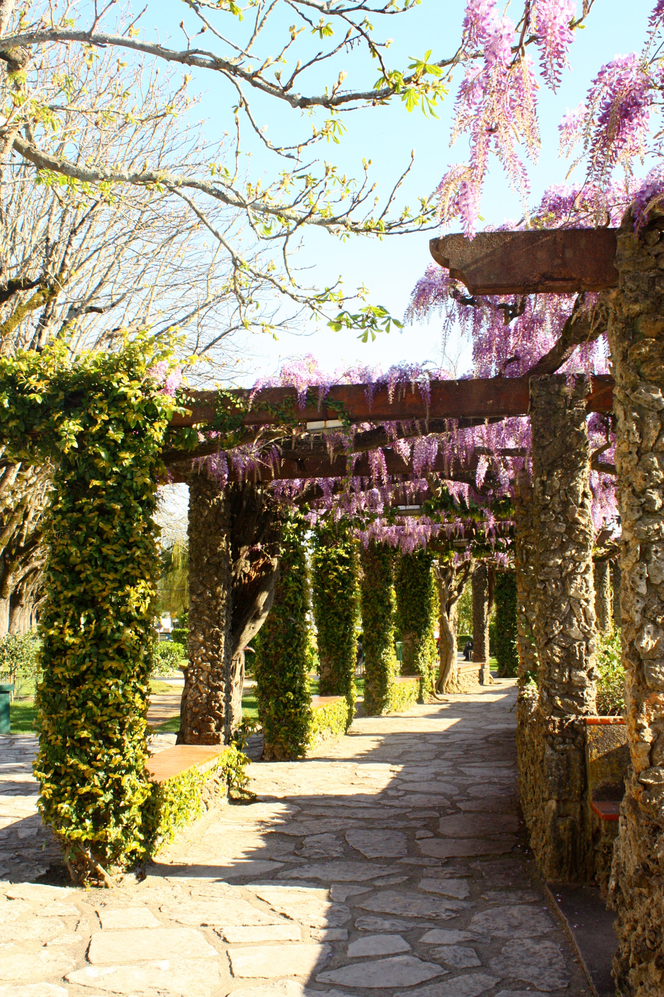 Canon EF-S 55-250mm F4-5.6 IS sample photo. Spring in torres novas photography