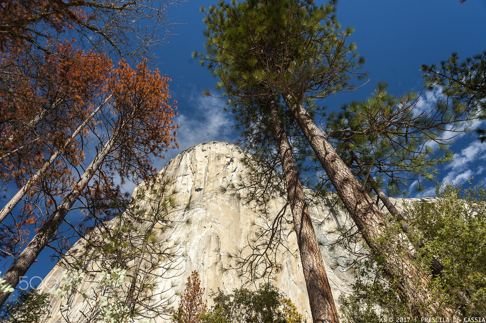 Nikon D700 sample photo. El capitan photography
