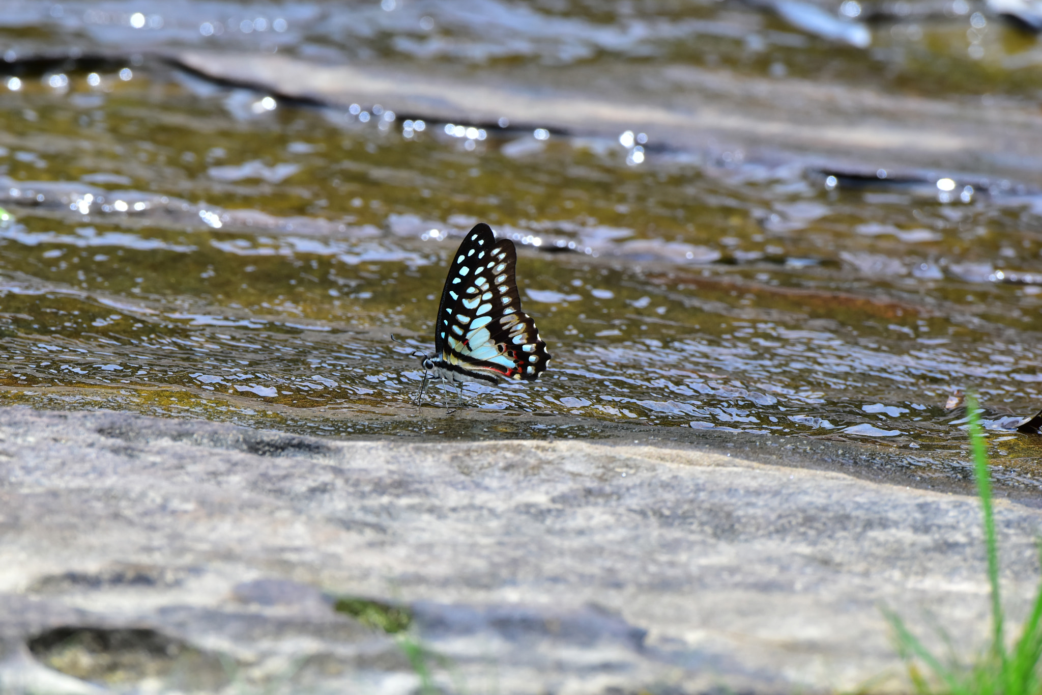 Nikon D5500 sample photo. Water supply photography