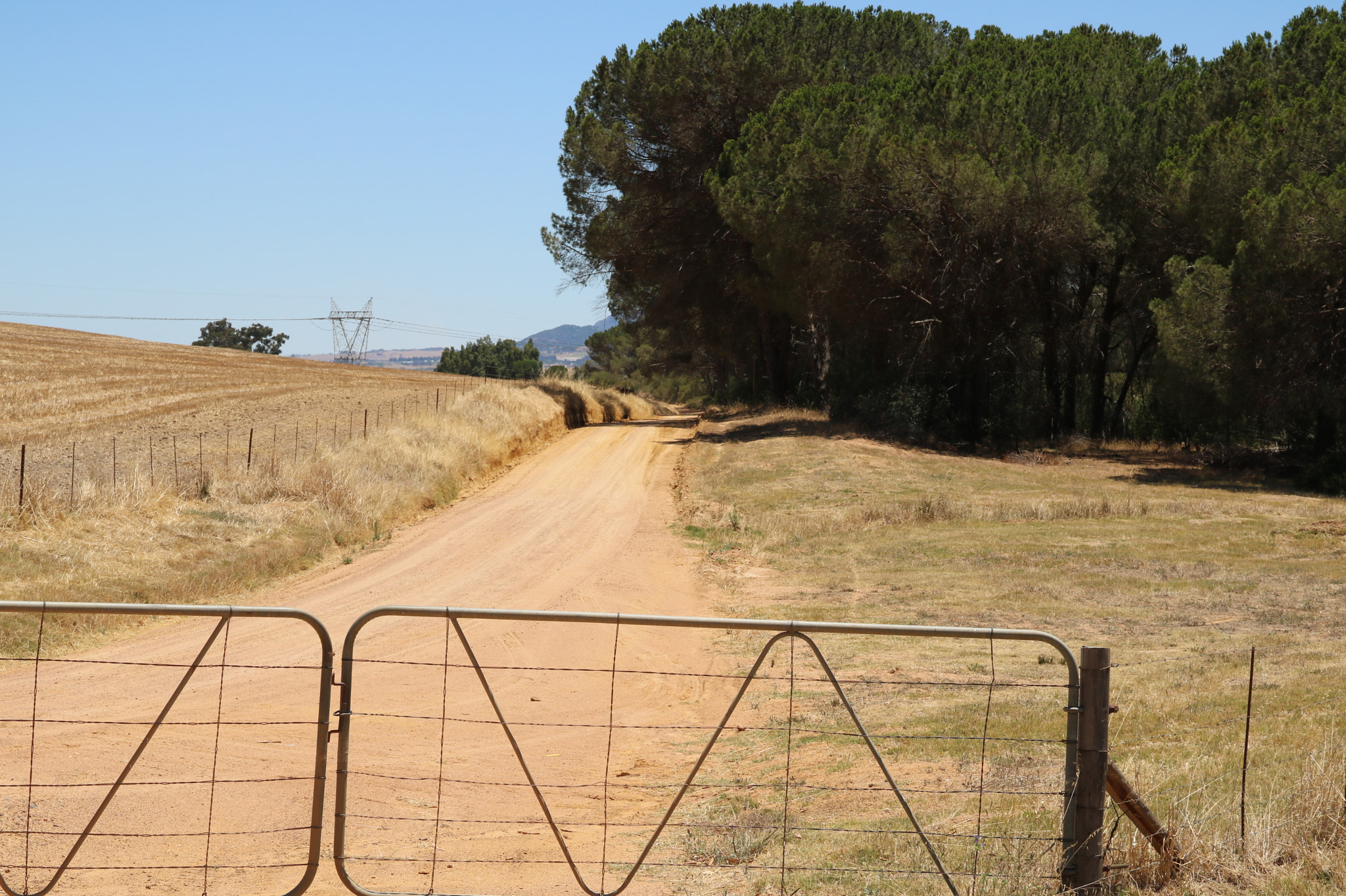 Canon EOS 750D (EOS Rebel T6i / EOS Kiss X8i) sample photo. Road to peace photography