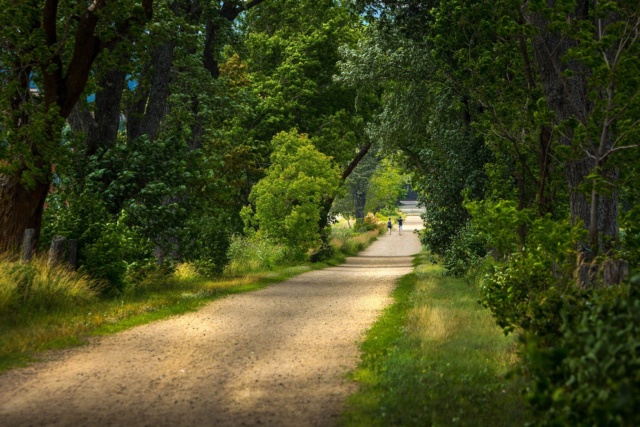 Sigma 70-200mm F2.8 EX DG OS HSM sample photo. Can't wait to go back photography