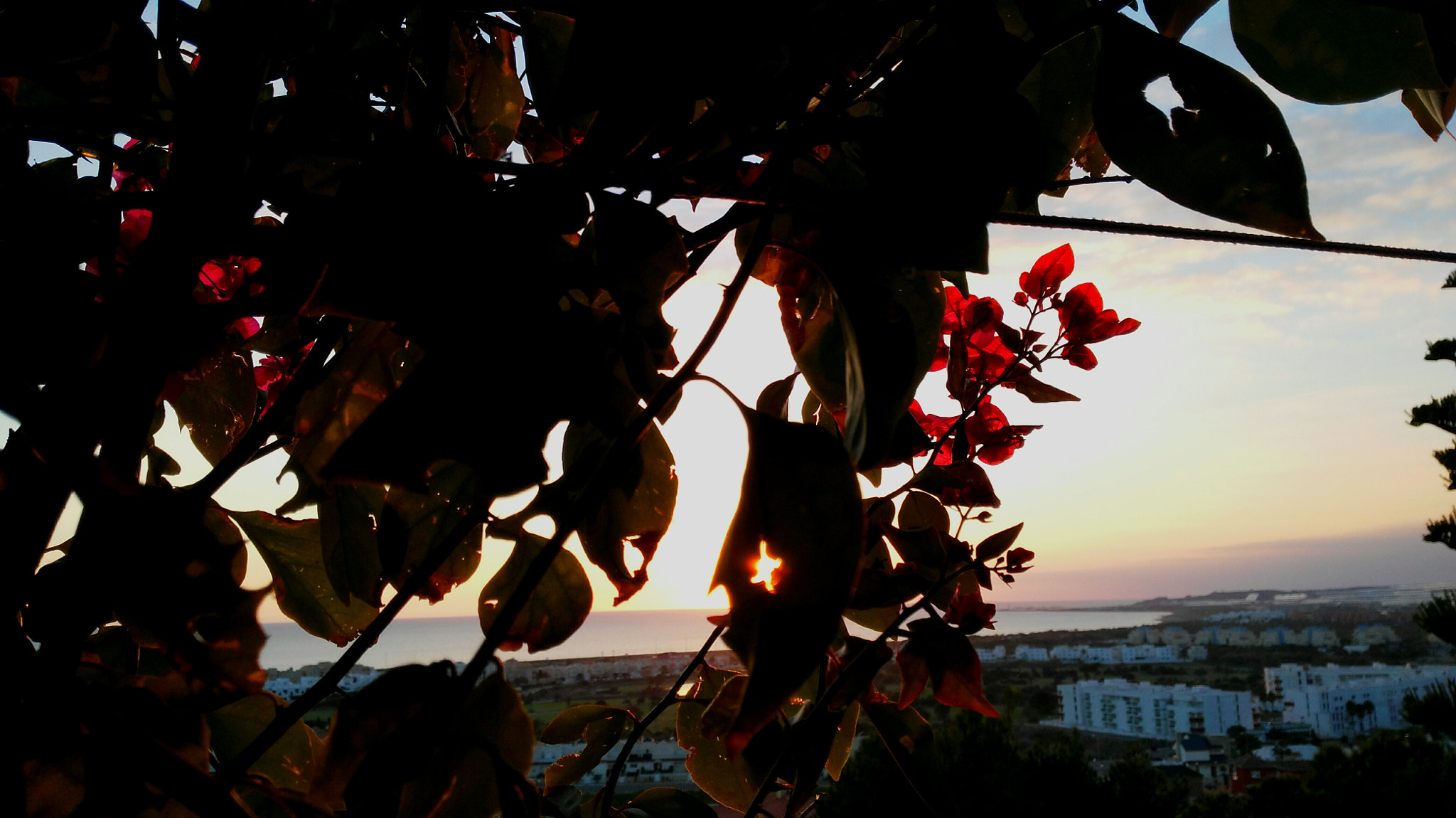 HUAWEI G7-L01 sample photo