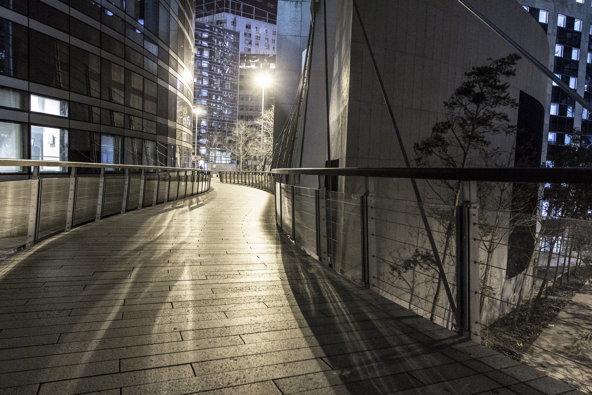 Canon EF 16-35mm F2.8L II USM sample photo. Backlight photography
