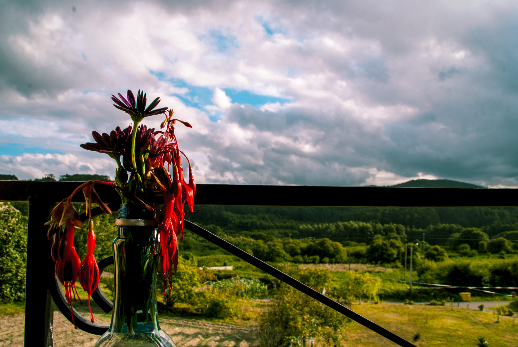 Nikon D80 sample photo. Galicia photography