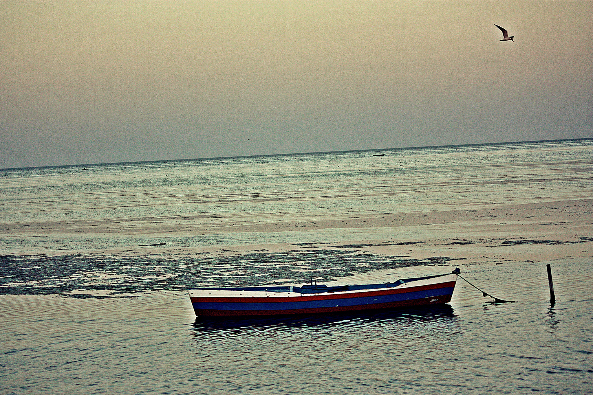 Canon EOS 450D (EOS Rebel XSi / EOS Kiss X2) sample photo. Boat photography