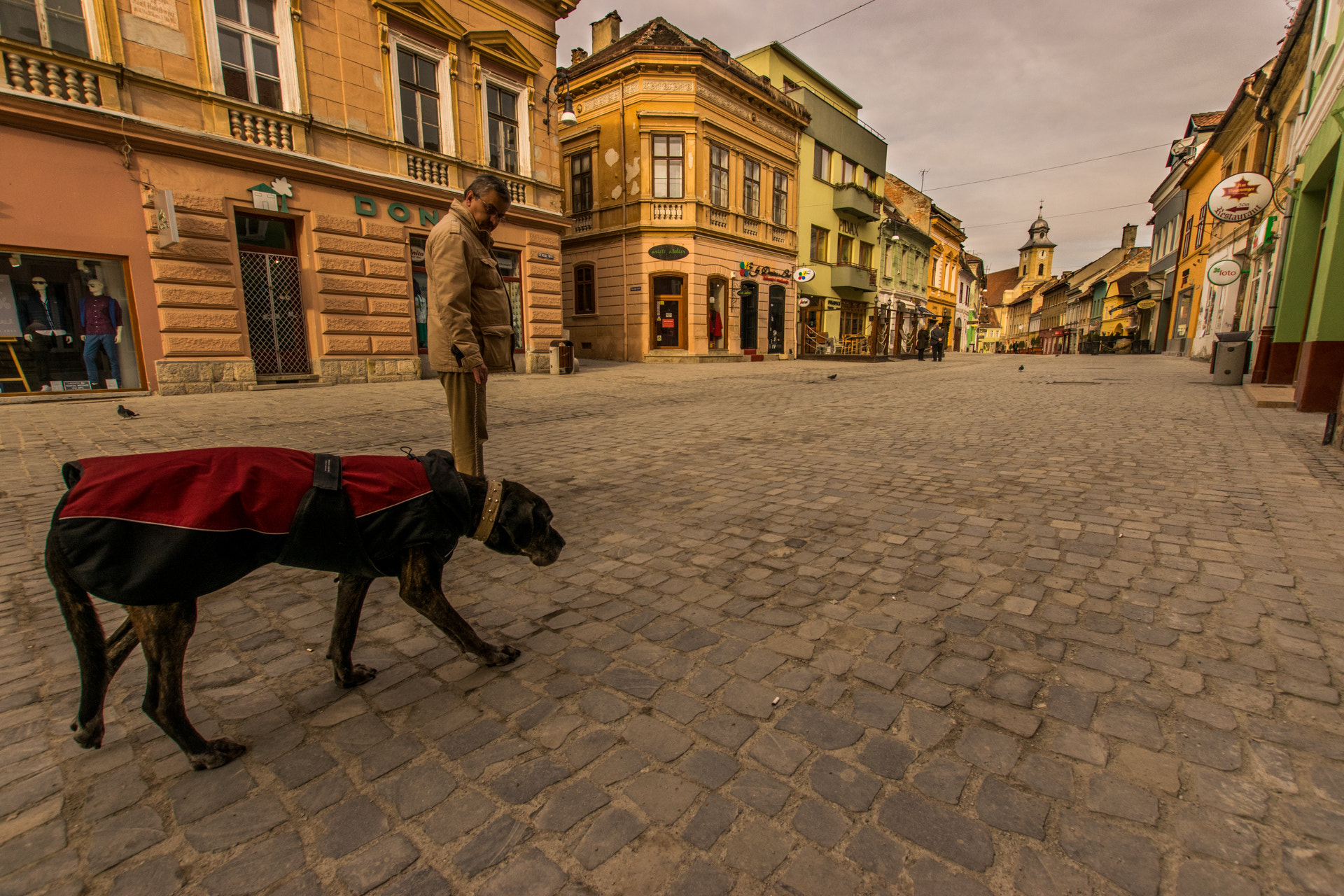 Nikon D5300 + Sigma 10-20mm F3.5 EX DC HSM sample photo. Morning walk photography
