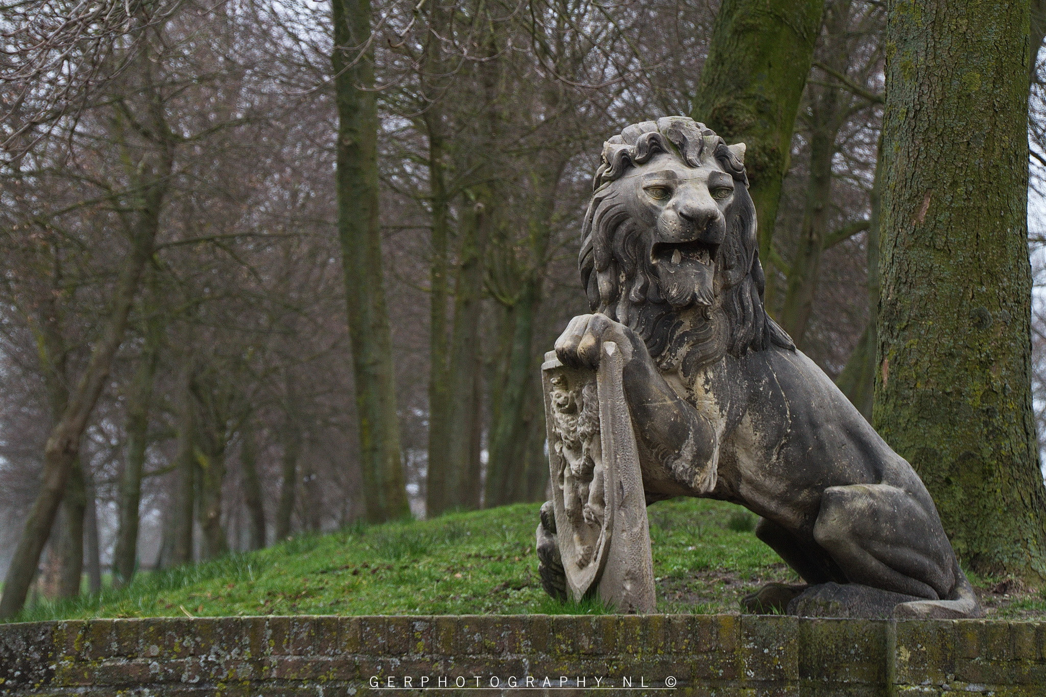 Canon EOS 7D + Tamron 18-270mm F3.5-6.3 Di II VC PZD sample photo. Lion of elburg photography