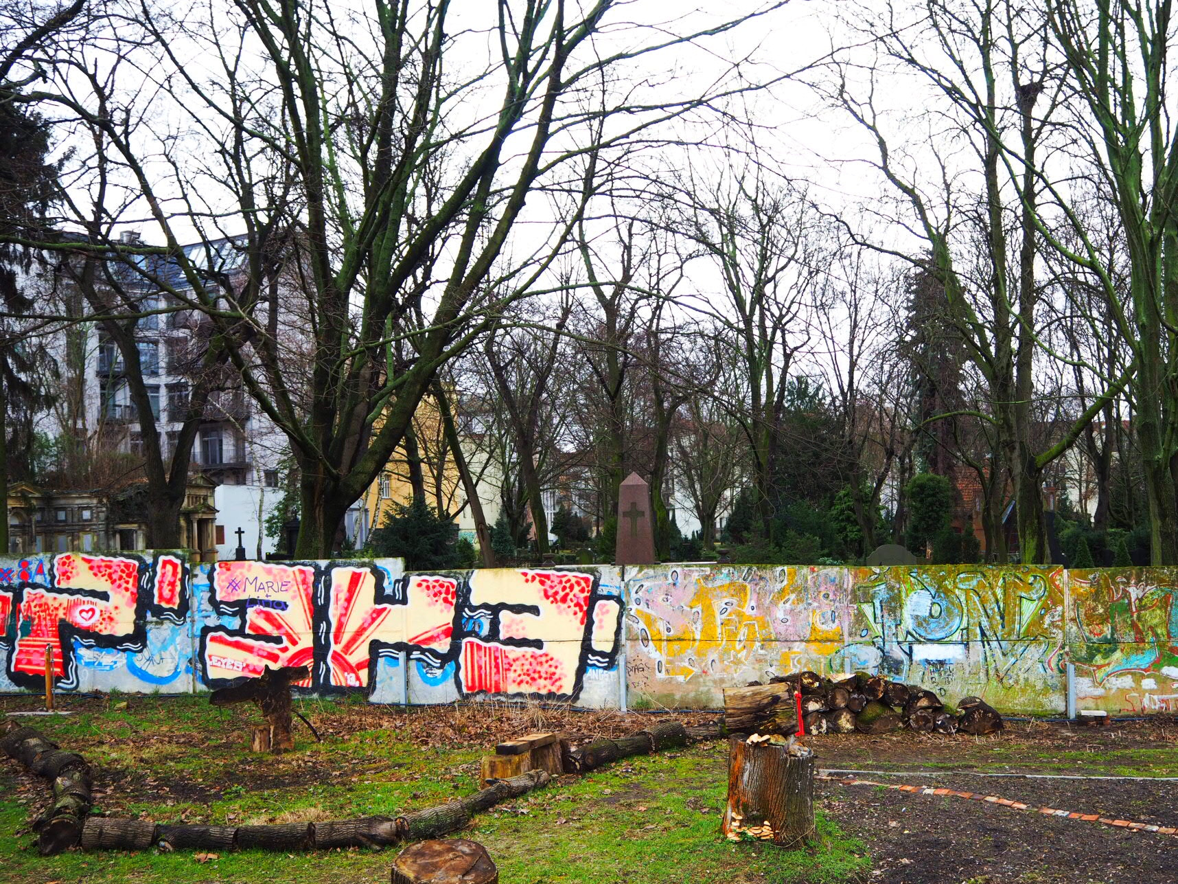 Olympus PEN-F sample photo. Berlin's wall remains photography