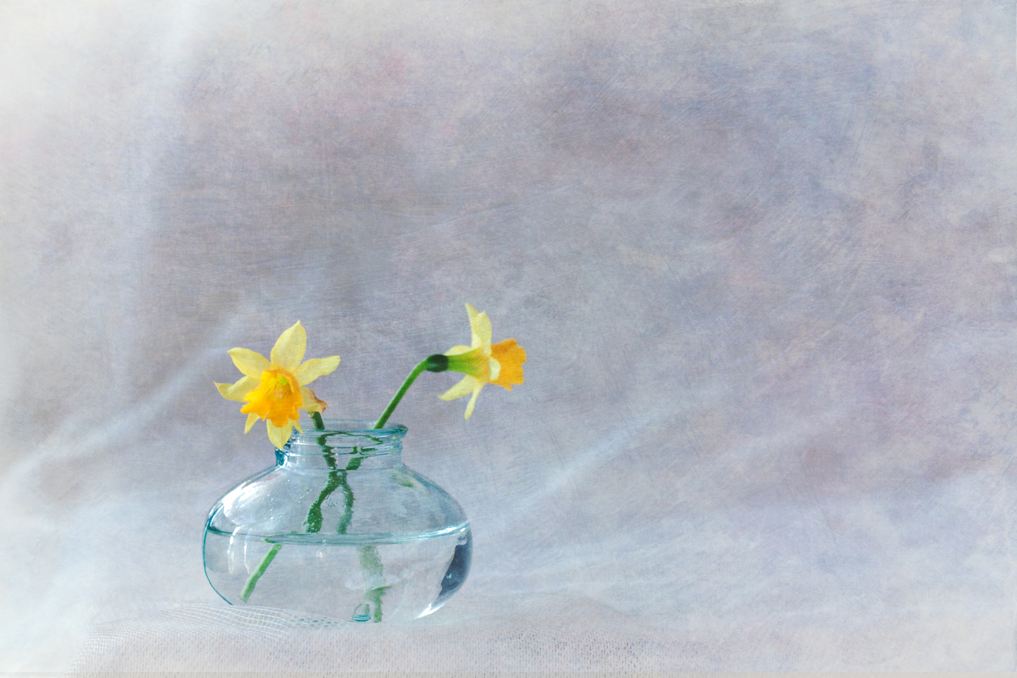 Canon EF 35-80mm f/4-5.6 sample photo. Narcisos photography