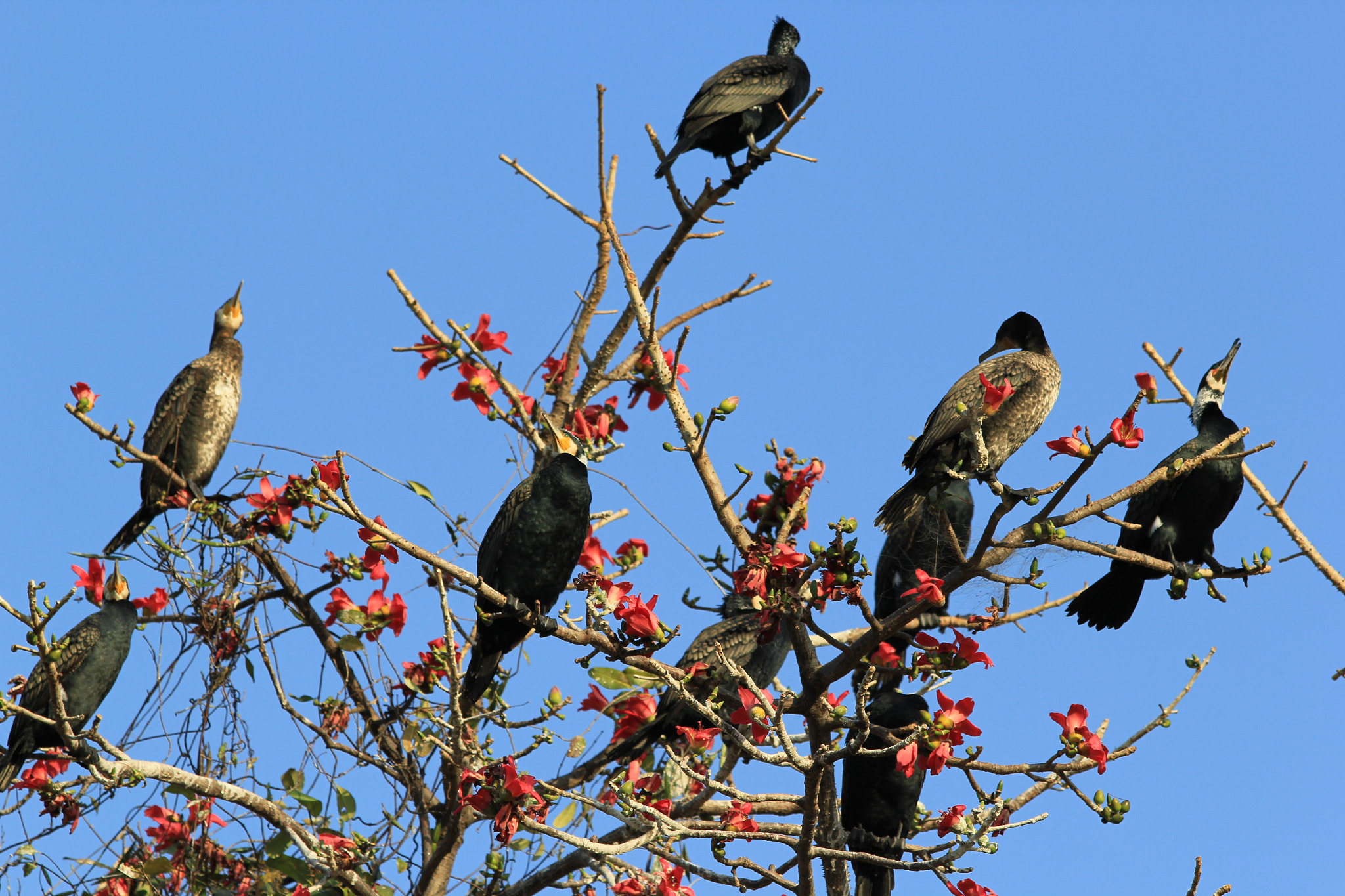 Canon EF 70-300mm F4-5.6 IS USM sample photo