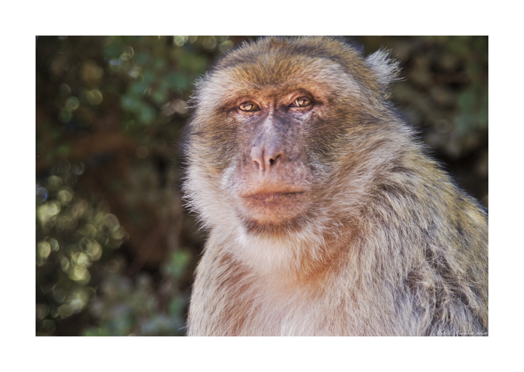 Pentax K-3 II + Sigma sample photo. Morocco photography