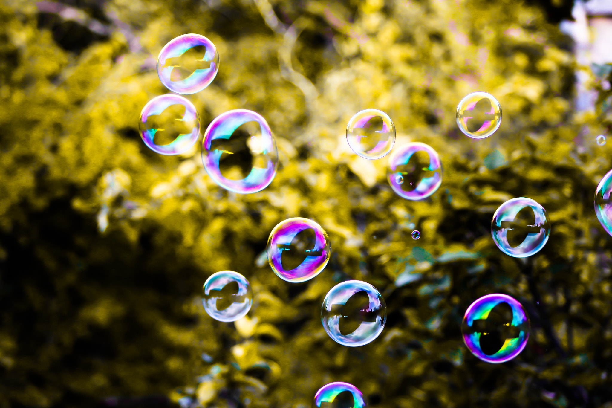 Canon EOS 650D (EOS Rebel T4i / EOS Kiss X6i) + EF75-300mm f/4-5.6 sample photo. Soap balls :))) photography