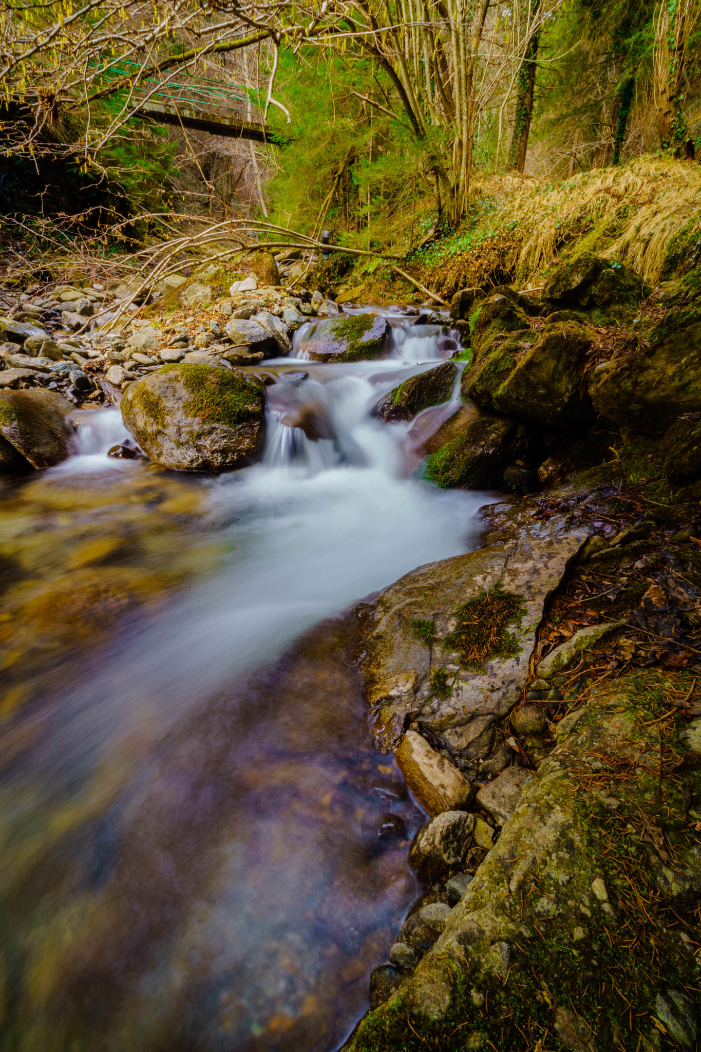 Sony a6000 + Sony DT 50mm F1.8 SAM sample photo. Flow photography