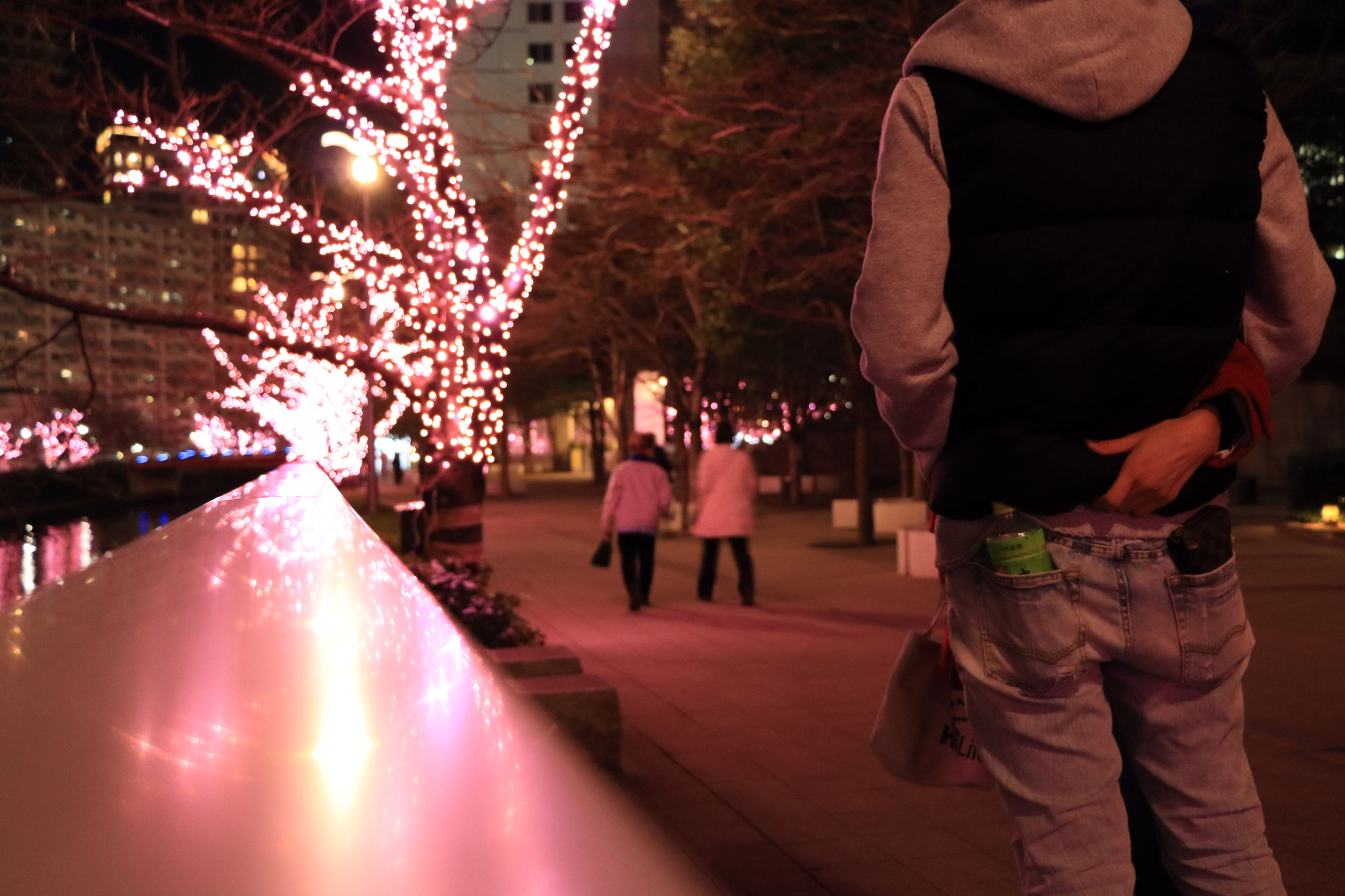 Canon EOS 760D (EOS Rebel T6s / EOS 8000D) + Canon EF-S 18-135mm F3.5-5.6 IS STM sample photo. The warmth that felt because it is winter. photography